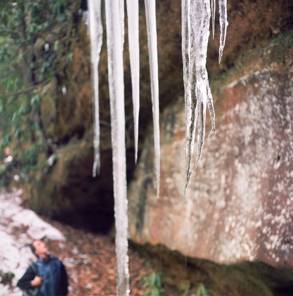 Ice on the Sheltowee Trace 2.jpg